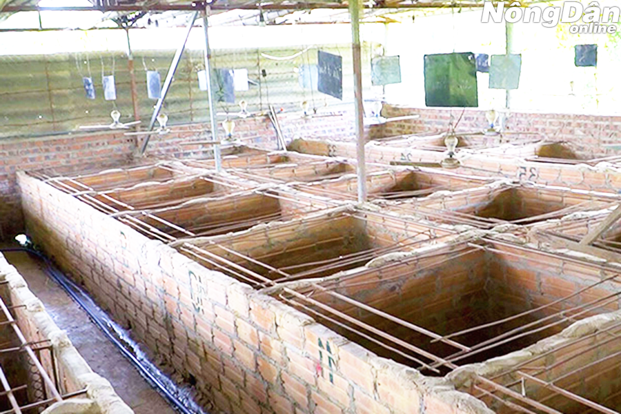 hệ thống chuồng nuôi nhím xây bằng gạch